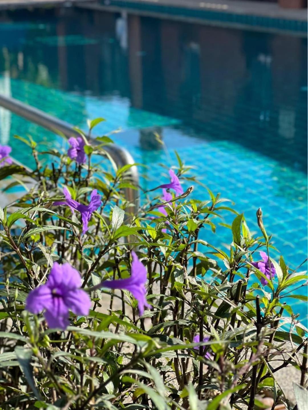 Hotel Pattara Mansion พัทยา Pattaya Exterior foto